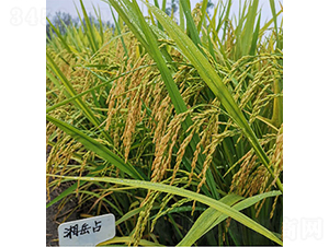 ����ռ-ˮ���N��-��(r��n)�P(y��ng)�N�I(y��)