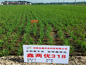 �΃Ƀ�(y��u)318-ˮ���N��-��(r��n)�P(y��ng)�N�I(y��)