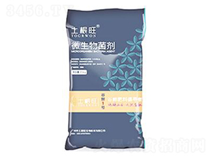 ΢�������-������