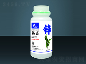 �����\-��(��i)�����B(t��i)