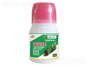 韭菜專用中量元素水溶肥-地護(hù)衛(wèi)-瑞邦化工