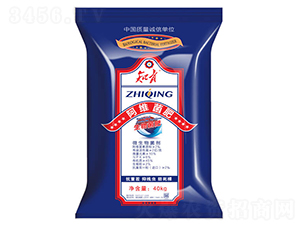 ���S����-֪��-������