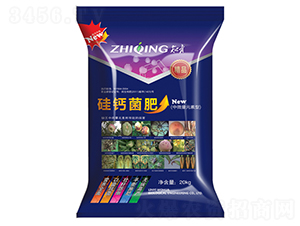 ��΢��Ԫ���͹��}����-������