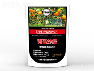 ��̦����-������