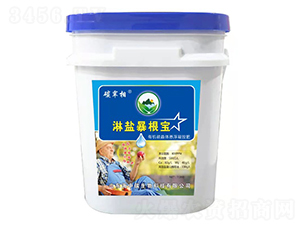 有機(jī)碳晶體懸浮凝膠肥-碳宰相-海中碳