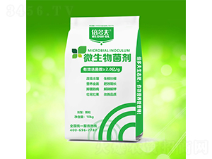 ΢����������w����-�����