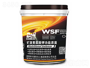 �VԴ�S����⛹���ԭ��-Ӣ������-�տ���