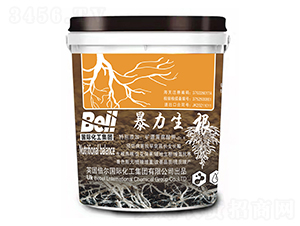 ��������-Ӣ������-�տ���