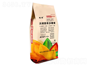 �ָ����������-����-�տ���