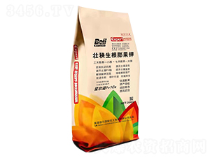 ������������-Ӣ������-�տ���