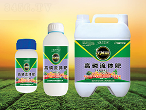 ���������͸������w��-������