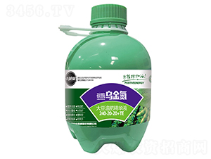 ��׷�ʾ��AҺ-̼ø����-������