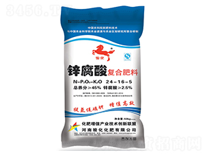 �\�����(f��)�Ϸ���24-16-5-���ϸ�-��A�E��