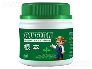 ����-����Ƽ�