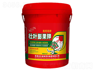 ���~����-���|����