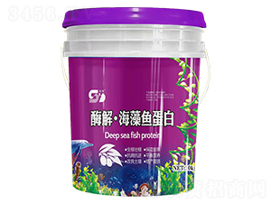 ø�⡤�����~����-���|����