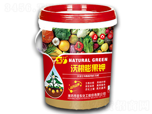 �ָ�����-���|����