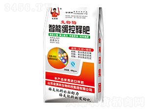 ����ø���ܾ���ጷ�-��M��