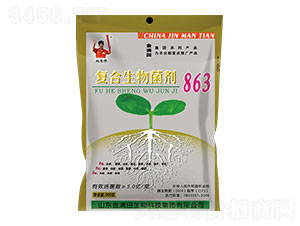 ��(f��)��΢�������863-��M��