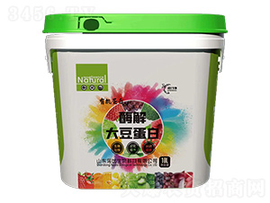 ø��󶹵���-�Z������