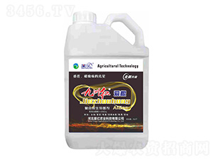 ��(f��)��΢�������-���ݼt�۸�-�ǃ|�r(n��ng)�I(y��)