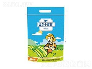 ��ʮ����-���r��