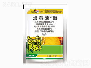 31%����ݬ���ή�����-�����ǁ���-���r(n��ng)��