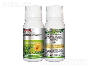 40%2�ס��p��-�����_(d��)-���r(n��ng)��