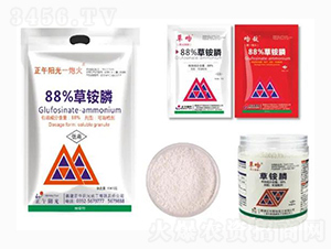 88%���@�-�����(y��ng)��һ�ڻ�