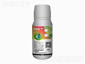 ���h(hu��n)��-�_�{��-�����Ƽ�