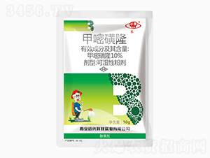 10%���׻�¡-�����Ƽ�