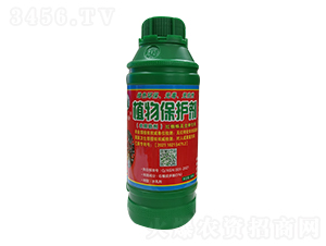 �t֩�댣��ֲ�ﱣ�o��-�¸����r(n��ng)�I(y��)