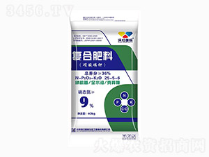 ��������͏�(f��)�Ϸ���25-5-6-��t���H