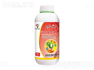 �}�V���\�F-����֮��-��������