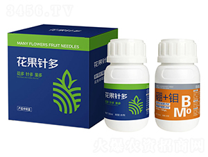 ����ᘶ�-������