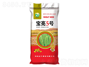 寶亮5號(hào)-豫糧倉(cāng)-冠豐種業(yè)