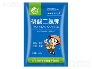 ��΢����������-����֮��-��������