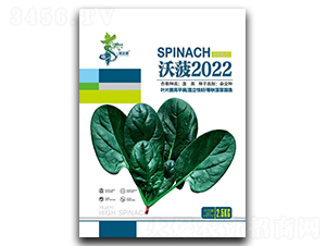 �ֲ�2022-���˷N��-�Aһ�N�I(y��)