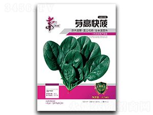 ѿ�߿첤-���˷N��-�Aһ�N�I(y��)