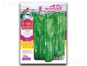 �Aһ��qX3-�����N��-�Aһ�N�I(y��)