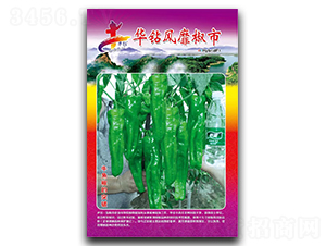 �A�@�L�ҽ���-�����N��-�Aһ�N�I(y��)