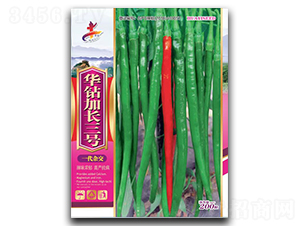 �A�@���L��̖-�����N��-�Aһ�N�I(y��)