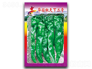 �A�@�����¶�̖-�����N��-�Aһ�N�I(y��)