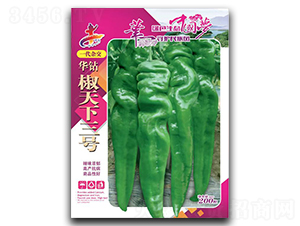 �A�@��������̖-�����N��-�Aһ�N�I(y��)