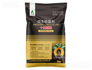 ΢�������-ʮ�|���-���r(n��ng)�W��