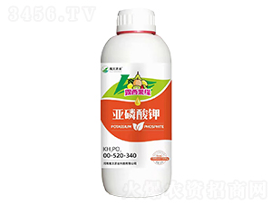 �������-¶������-�����r(n��ng)�I(y��)