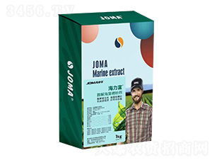 ø�⺣�徫�ۄ�-������-�C�R����