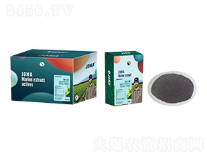 ø�⺣�徫�ۄ����b-������-�C�R����