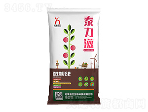 ΢�����(f��)�Ϸ�-̩����-Ԫ����������