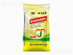 �ͺ�΢�������-�̽�